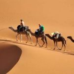 – [افرود سواری و سافاری درکویرمرنجاب آران وبیدگل و ابوزیداباد]؛ مشاهده مکان ها و خدمات و جاذبه ها – رزرو و اجاره آنلاین افرود سواری و سافاری درکویرمرنجاب آران وبیدگل و ابوزیداباد – مشاهده قیمت‌های افرود سواری و سافاری درکویرمرنجاب آران وبیدگل و ابوزیداباد – جستجوی شماره افرود سواری و سافاری درکویرمرنجاب آران وبیدگل و ابوزیداباد