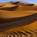 رضایت مهمان تخصص ماست