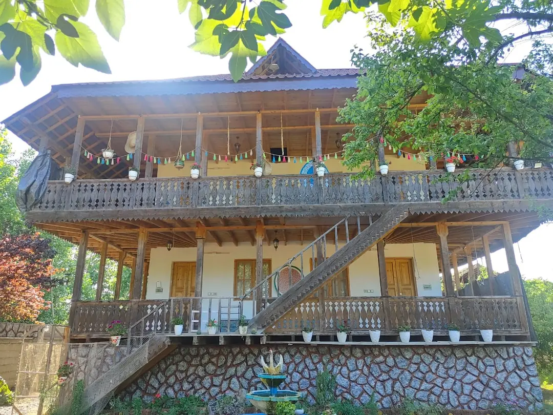 سفر در دل جنگل و طبیعت