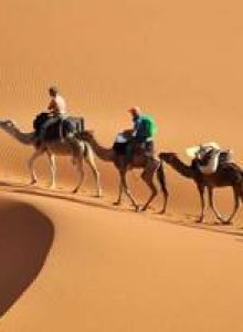 – [افرود سواری و سافاری درکویرمرنجاب آران وبیدگل و ابوزیداباد]؛ مشاهده مکان ها و خدمات و جاذبه ها – رزرو و اجاره آنلاین افرود سواری و سافاری درکویرمرنجاب آران وبیدگل و ابوزیداباد – مشاهده قیمت‌های افرود سواری و سافاری درکویرمرنجاب آران وبیدگل و ابوزیداباد – جستجوی شماره افرود سواری و سافاری درکویرمرنجاب آران وبیدگل و ابوزیداباد